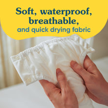 Load image into Gallery viewer, 3556