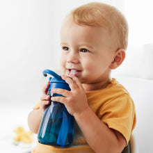 將圖片載入圖庫檢視器 OXO Tot Adventure Water Bottle Replacement Straw Set