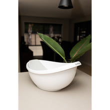 Load image into Gallery viewer, 26422021