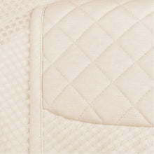 Load image into Gallery viewer, Ergobaby Evolve Bouncer Mesh - Cream Mesh