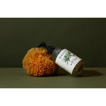 將圖片載入圖庫檢視器 Koala Eco Natural Body Wash Rosalina & Peppermint Essential Oil - 500ml
