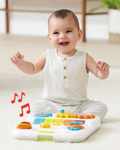 Load image into Gallery viewer, Skip Hop Explore & More Grow Along 4-in-1 Activity Walker
