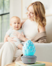 Load image into Gallery viewer, Skip Hop Terra Cry-Activated Soother