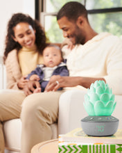 Load image into Gallery viewer, Skip Hop Terra Cry-Activated Soother