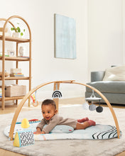 將圖片載入圖庫檢視器 Skip Hop Discoverosity Deluxe Activity Gym