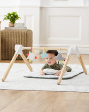 將圖片載入圖庫檢視器 Skip Hop Silver Lining Cloud Wooden Activity Gym