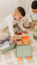 將圖片載入圖庫檢視器 Skip Hop Zoo Bento Lunch Box - Raccoon