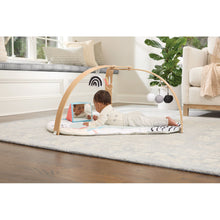 將圖片載入圖庫檢視器 Skip Hop Discoverosity Activity Gym