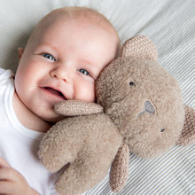 Load image into Gallery viewer, Bubble Beanie the Bear