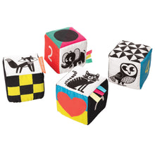 Load image into Gallery viewer, Manhattan Toy Wimmer Ferguson Mind Cubes