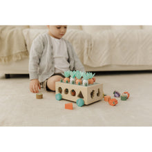 將圖片載入圖庫檢視器 Bubble Wooden Vegetable Garden
