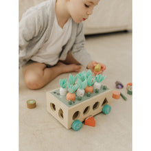 將圖片載入圖庫檢視器 Bubble Wooden Vegetable Garden
