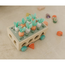 將圖片載入圖庫檢視器 Bubble Wooden Vegetable Garden
