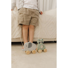 將圖片載入圖庫檢視器 Bubble Wooden Raccoon Pull Along Toy
