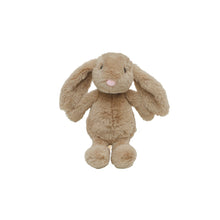 Load image into Gallery viewer, Bubble Plush Toy - Jamie the Bunny
