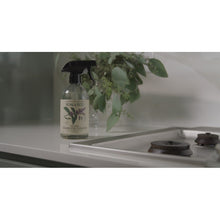 將圖片載入圖庫檢視器 Koala Eco Natural Stainless Cleaner Peppermint Essential Oil - 500ml
