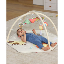 Load image into Gallery viewer, Skip Hop Geometric Wonders Activity Gym
