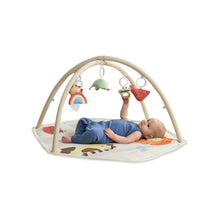 Load image into Gallery viewer, Skip Hop Geometric Wonders Activity Gym
