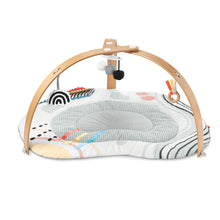 將圖片載入圖庫檢視器 Skip Hop Discoverosity Activity Gym
