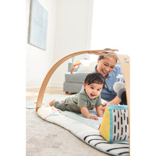 將圖片載入圖庫檢視器 Skip Hop Discoverosity Activity Gym
