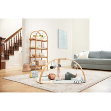 將圖片載入圖庫檢視器 Skip Hop Discoverosity Activity Gym
