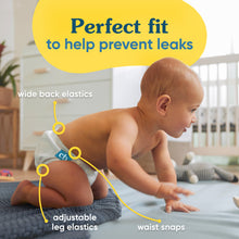 Load image into Gallery viewer, 3682
