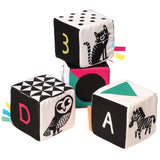 Manhattan Toy Wimmer Ferguson Mind Cubes