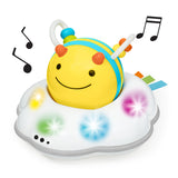 Skip Hop Explore & More Follow me Bee Crawl Toy